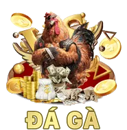Quà Tặng & Sự Kiện Độc Quyền